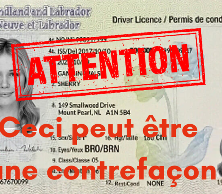 Attention aux sites proposant un permis de conduire de Terre-Neuve-et-Labrador