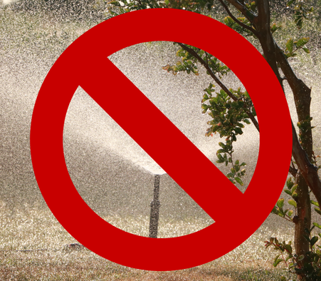 Restriction d'usage d'eau en extérieur en vigueur dans l'agglomération de St. Jean de Terre-Neuve